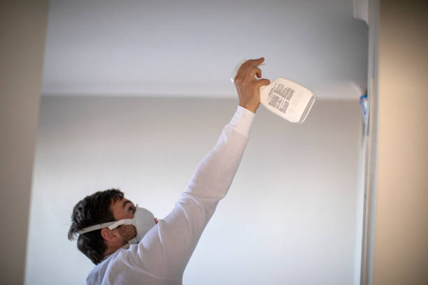 Reliable Landmark, AR Mold Remediation Solutions
